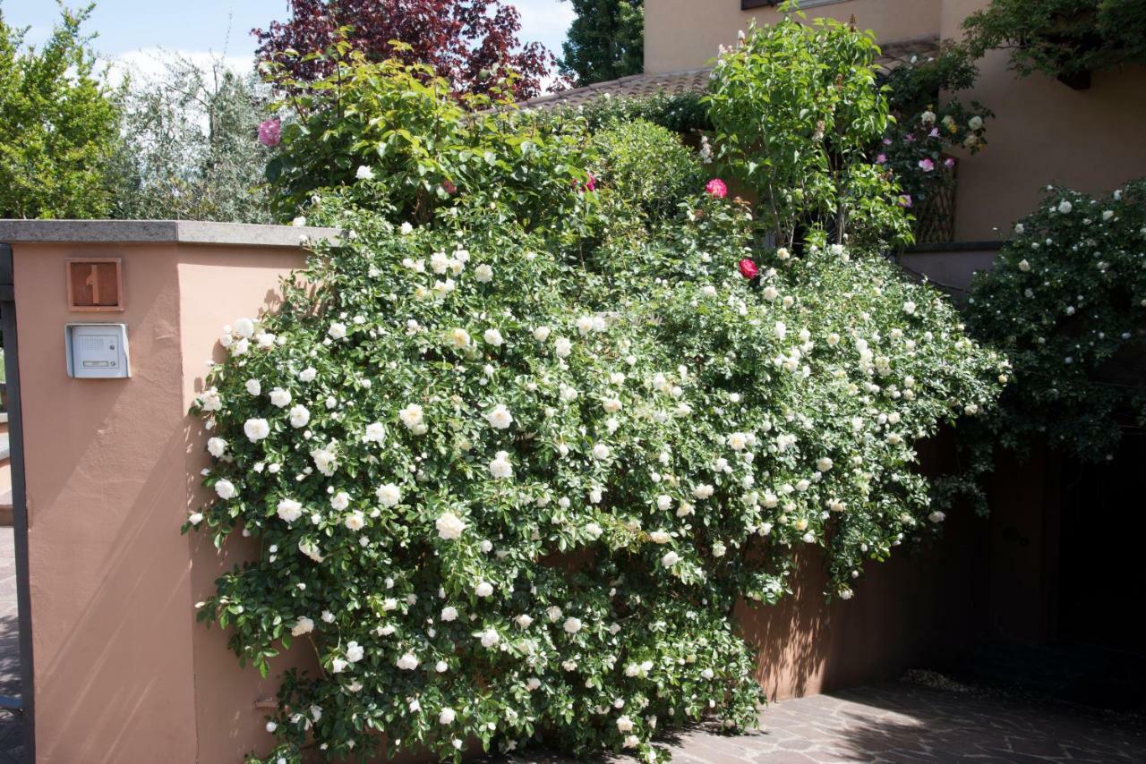 Casa Angolo Delle Rose Ορβιέτο Εξωτερικό φωτογραφία