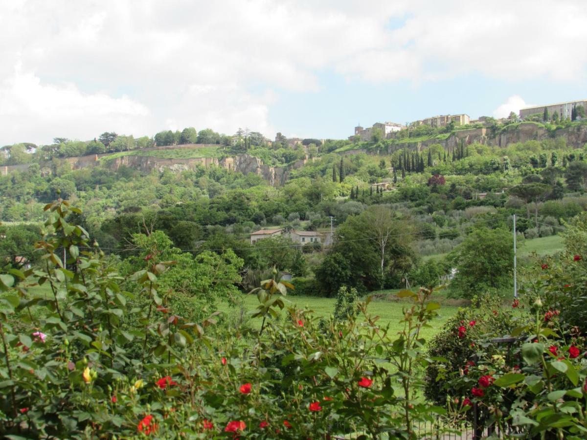 Casa Angolo Delle Rose Ορβιέτο Εξωτερικό φωτογραφία